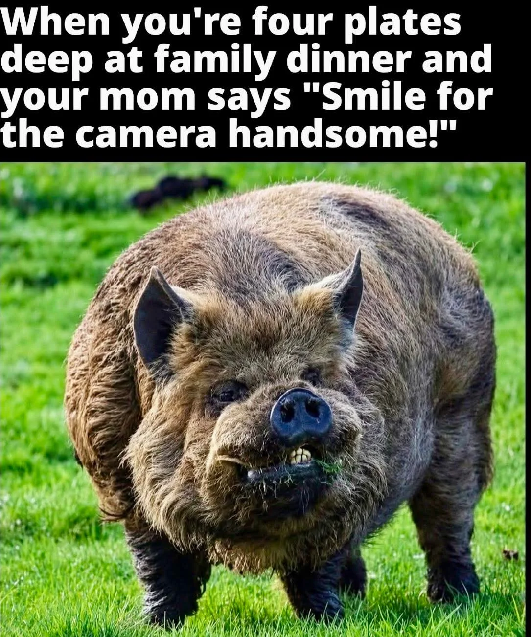 1780925831557.webp