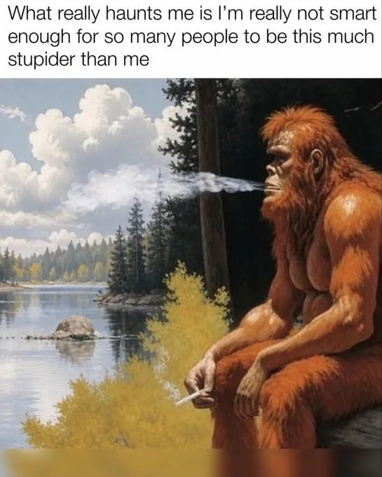 1781219878606.webp