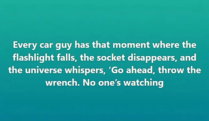 1781955894858.webp