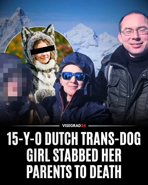 1782316509939.webp