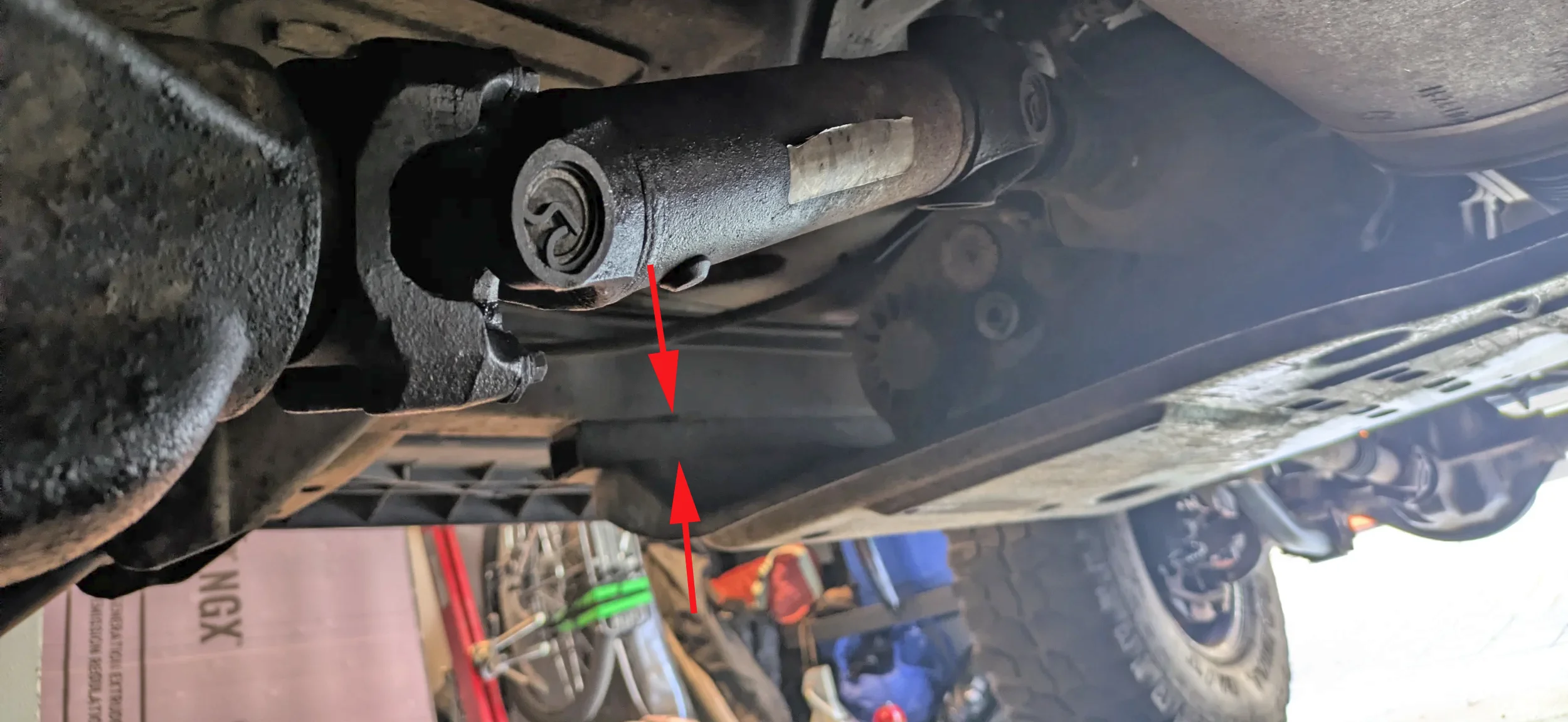 1784483638225.webp