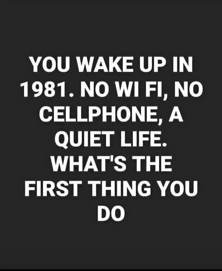 1786256328214.webp