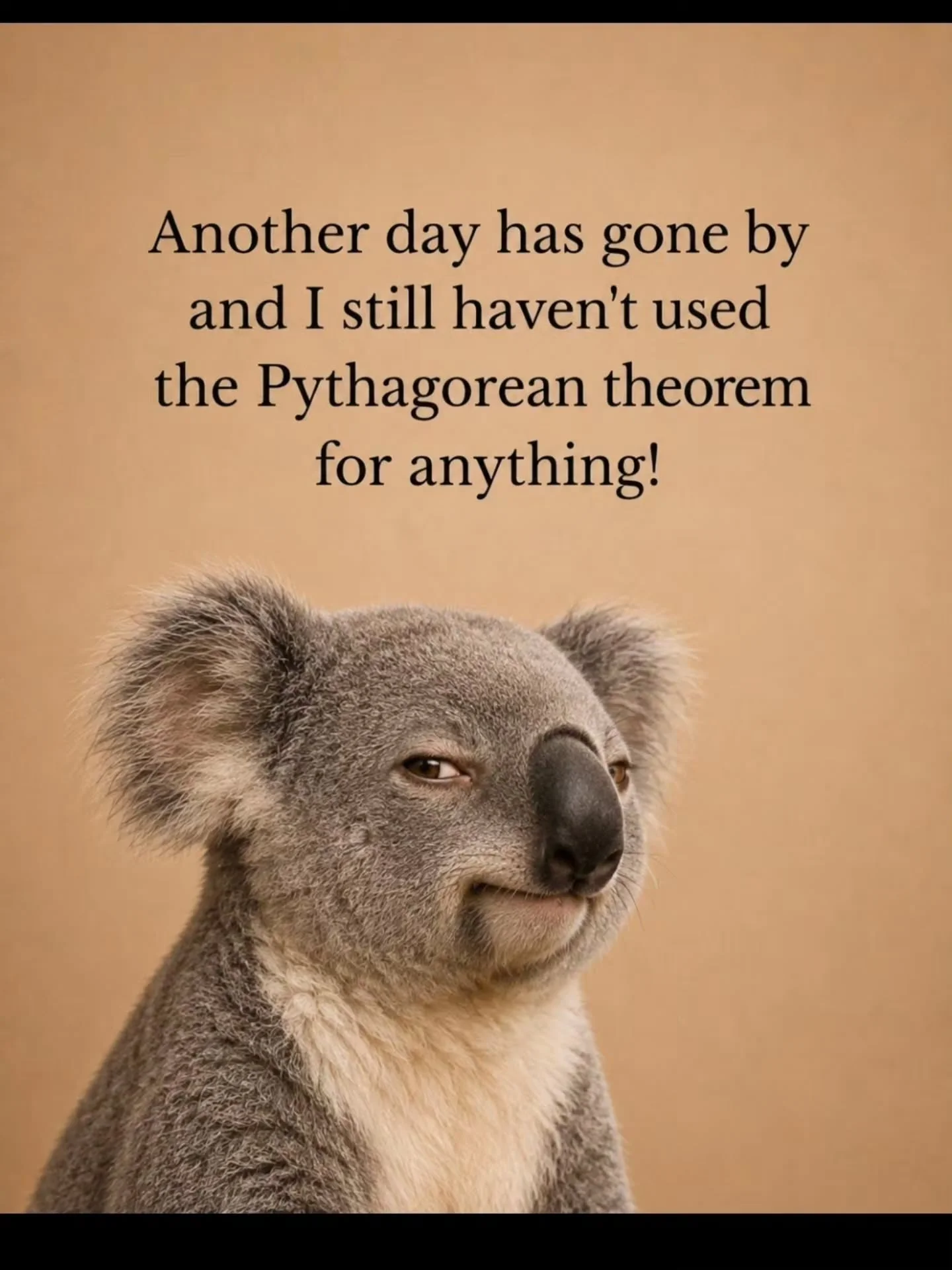 1787189665421.webp