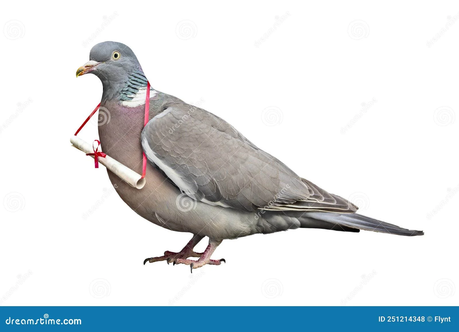1787931172845.webp