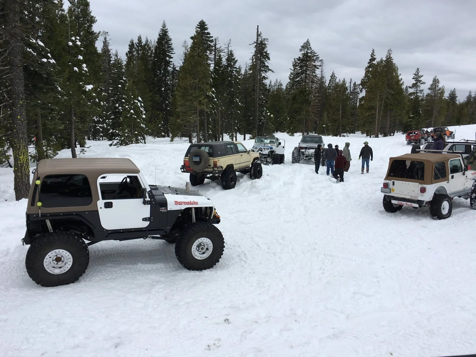 1977819A-F785-4327-B4E9-6AC090BC76BF.webp
