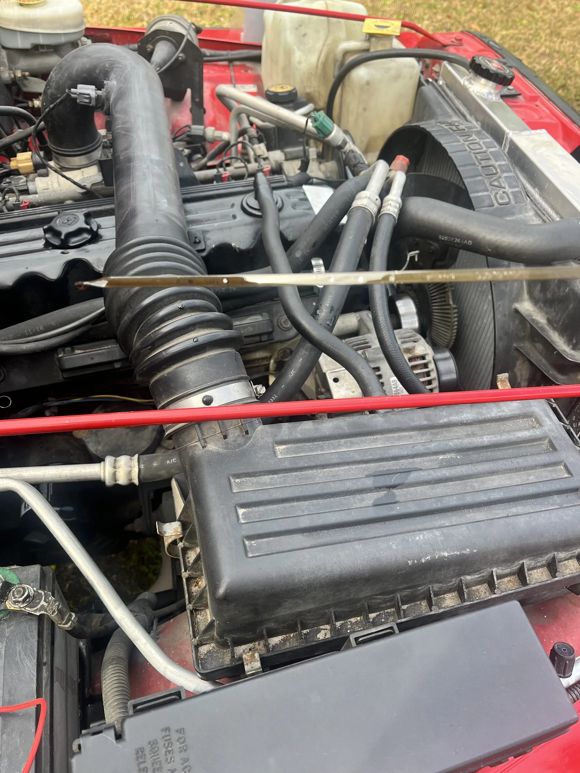 1C320188-51F9-4A14-BAAA-69F8DD6EC233.webp