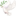🕊️