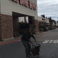 200.gif