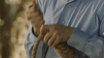 200.gif