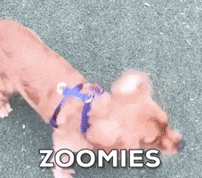 200.gif