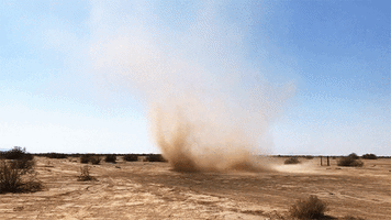 200.gif