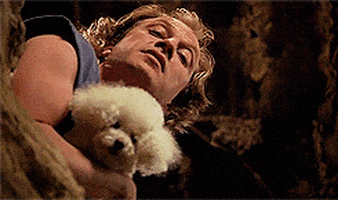 200.gif