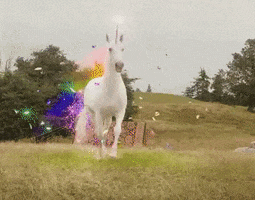200.gif