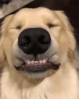 200.gif