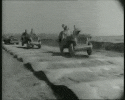 200.gif