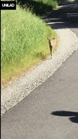 200.gif