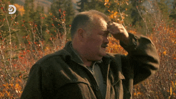 200.gif