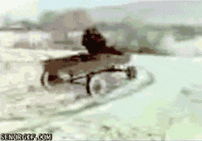 200.gif