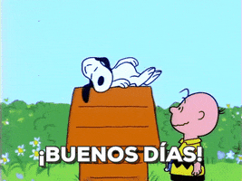 200.gif