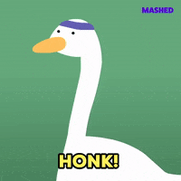 200.gif