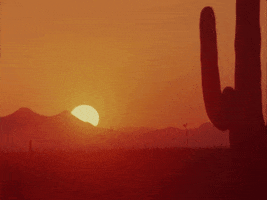 200.gif