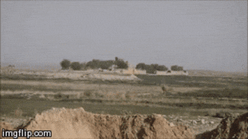 200.gif