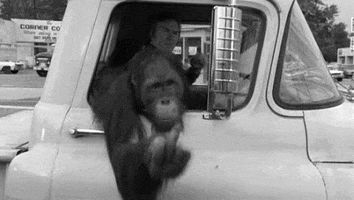 black and white middle finger GIF