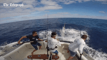 200.gif