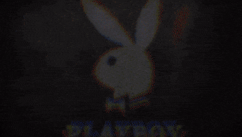 GIF by Playboy