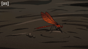 Monster Bug GIF by Adult Swim