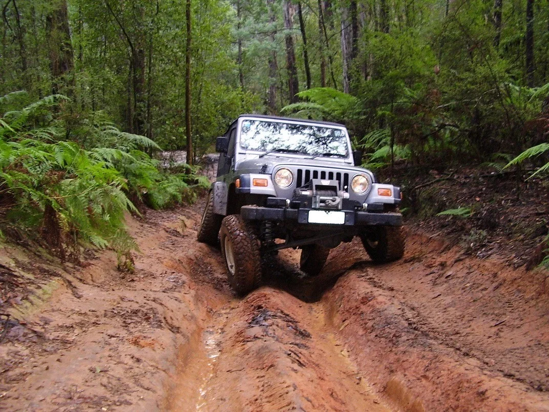 2001-tj.webp