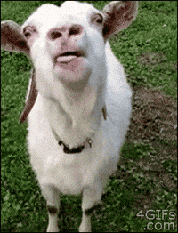 200w.gif