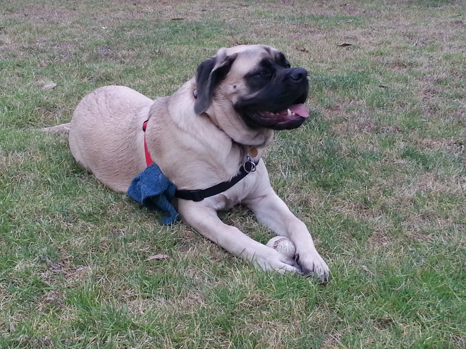 20140704_193501.webp