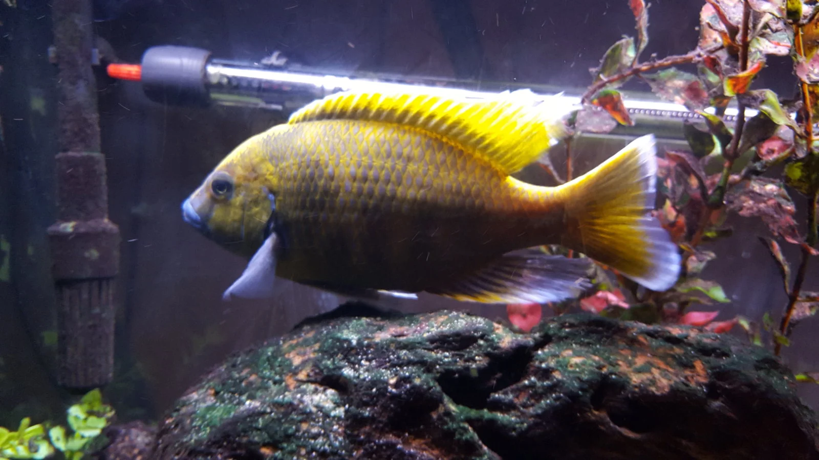 20151116_154751.webp