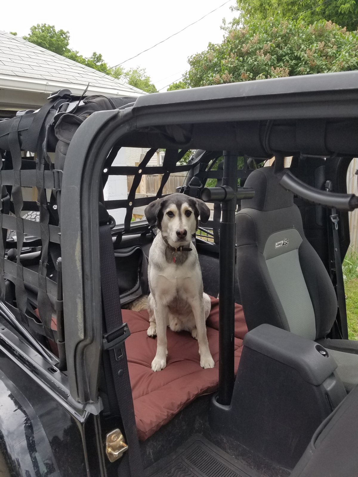 Diy Dog barrier under $20 | Jeep Wrangler TJ Forum