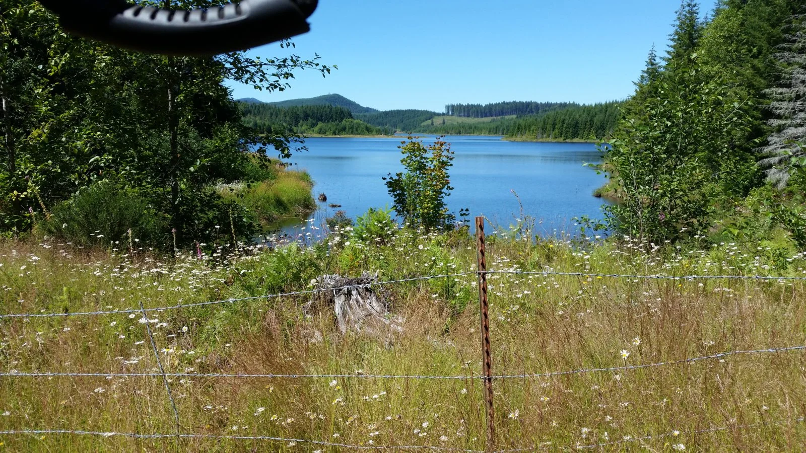 20160724_145451.webp