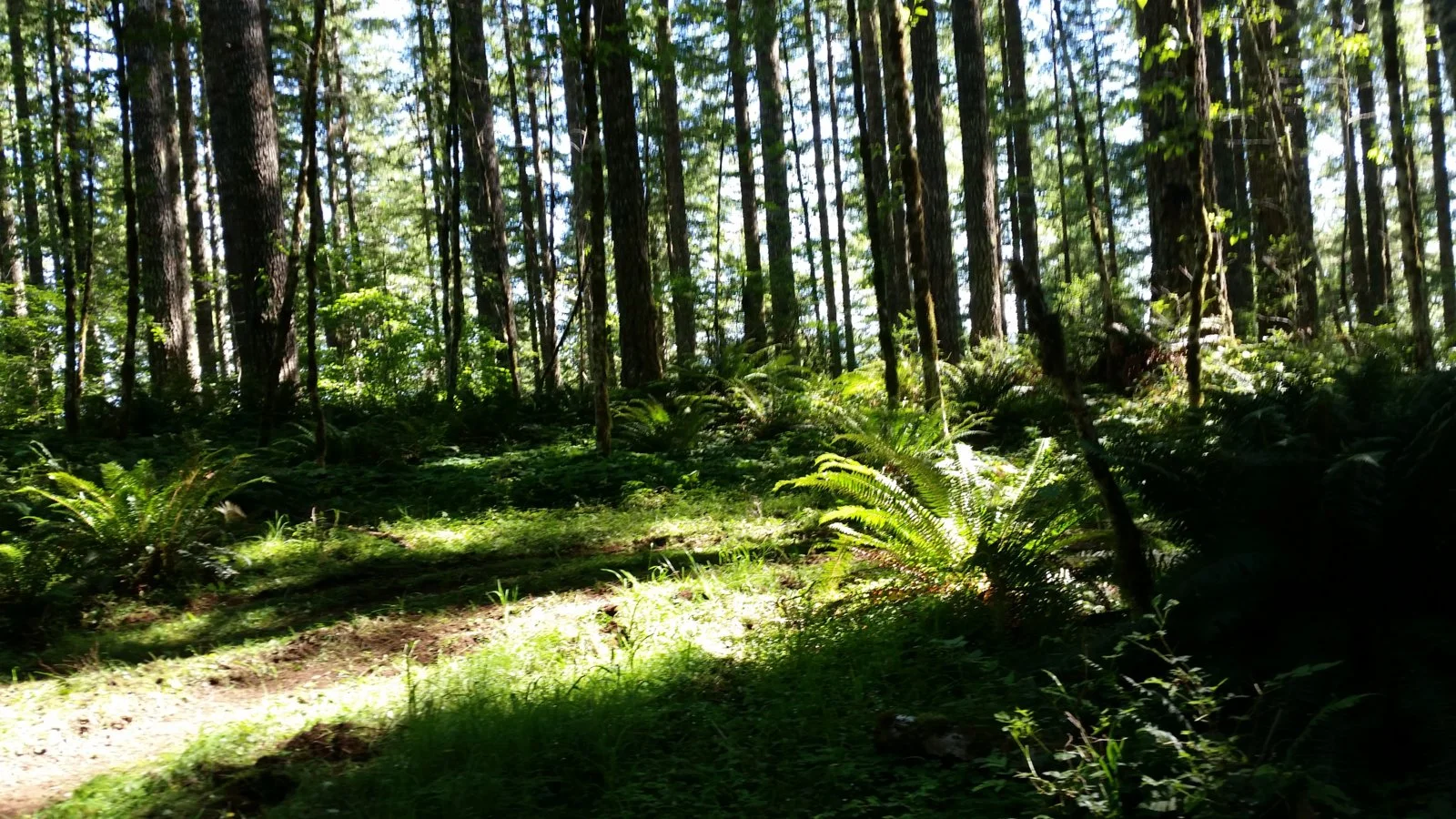 20160724_163739.webp