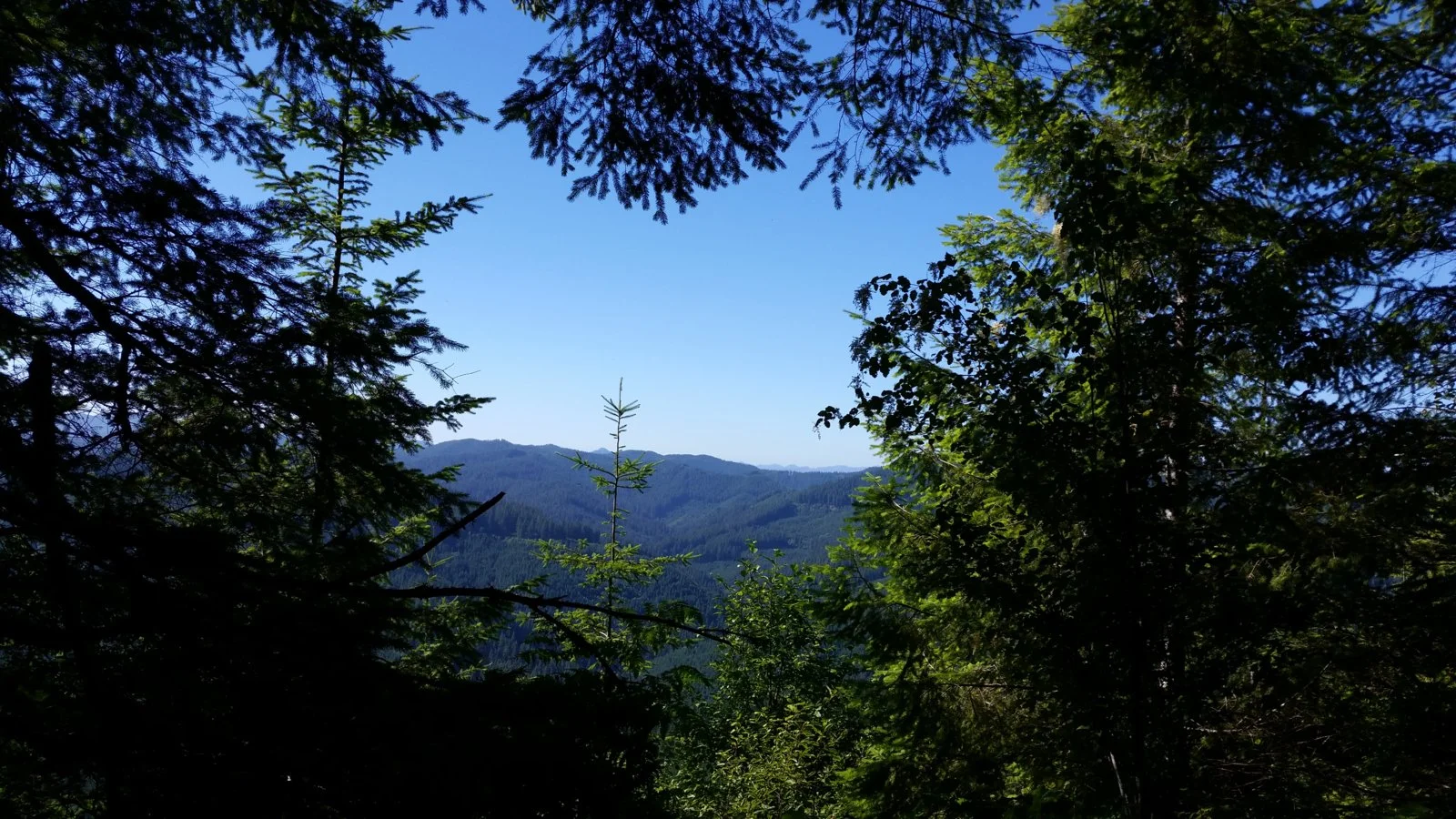 20160724_165203.webp