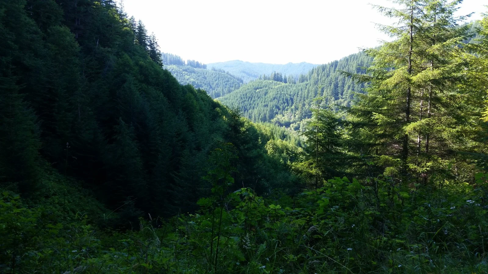 20160724_170038.webp
