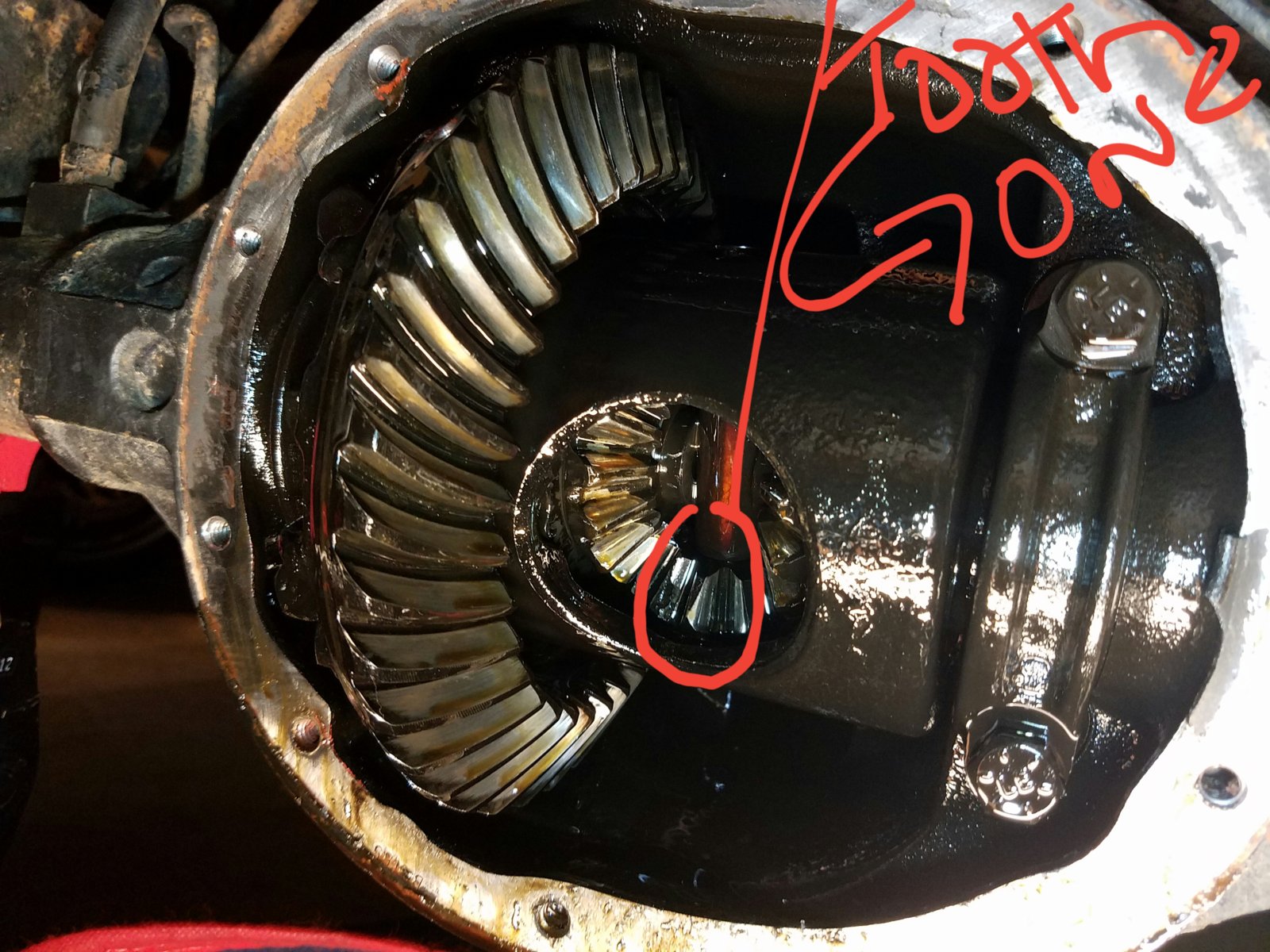 NOISE COMING FROM THE REAR AXLE | Jeep Wrangler TJ Forum