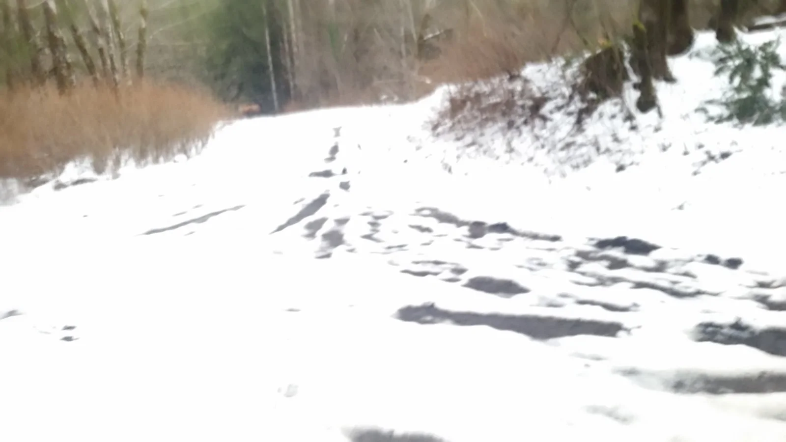 20180224_171229.webp
