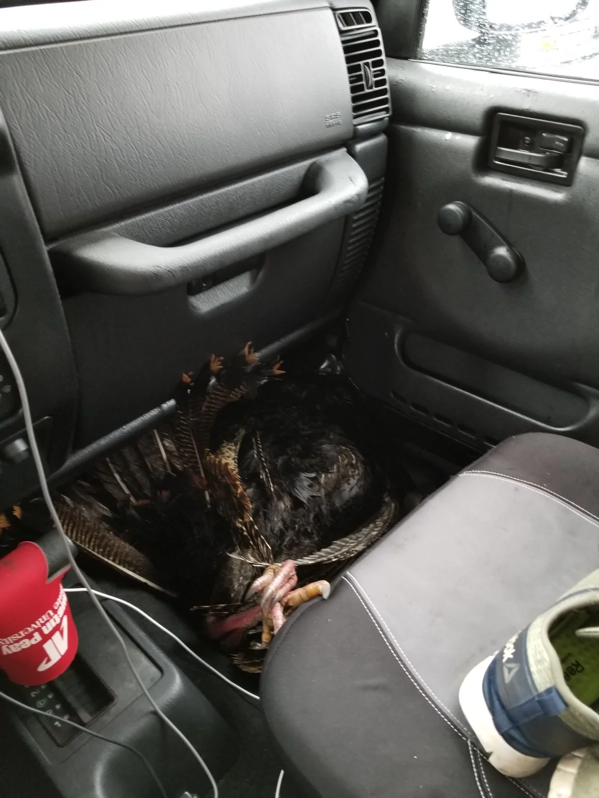 20180415_073435[1].webp