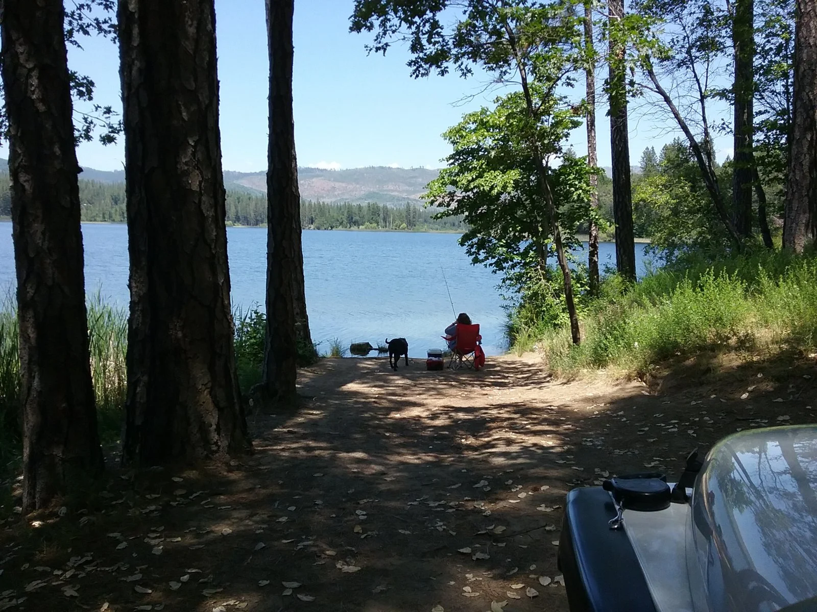 20180607_134159.webp