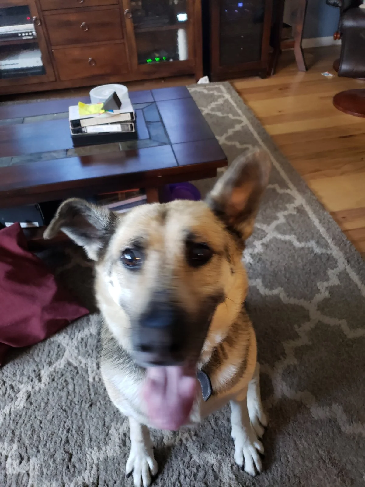 20180613_181215.webp