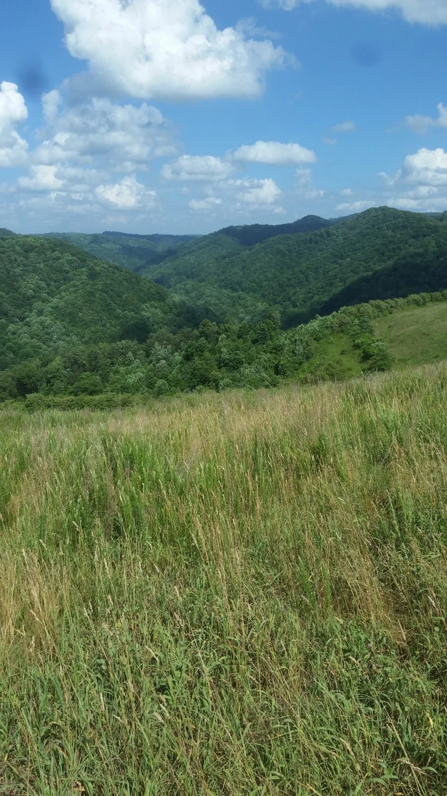 20180620_163144.webp