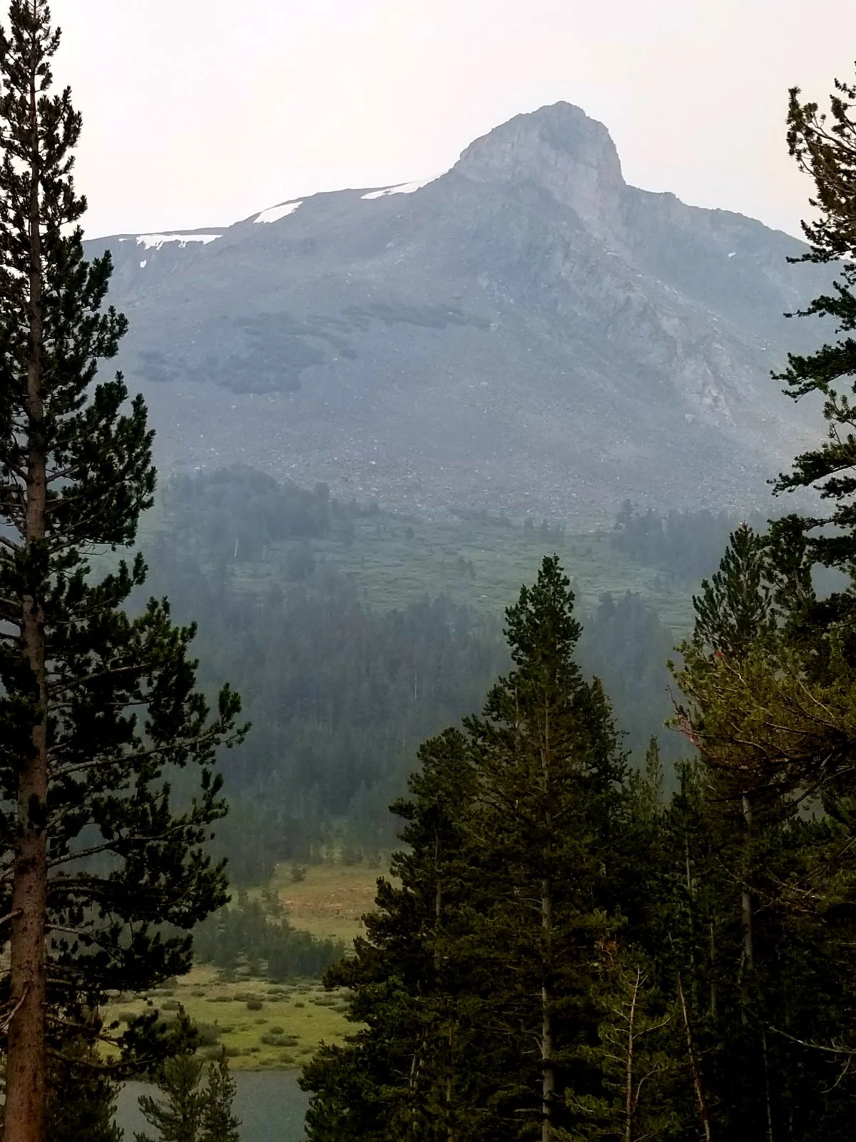 20180723_074613.webp