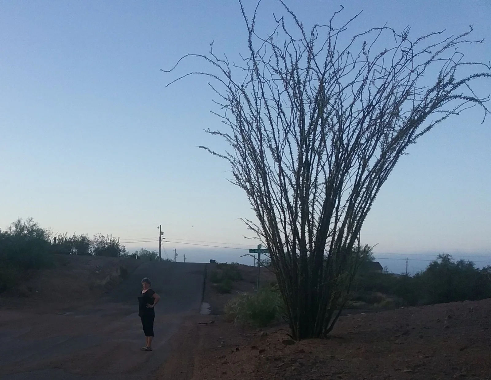20180920_063506 (2).webp