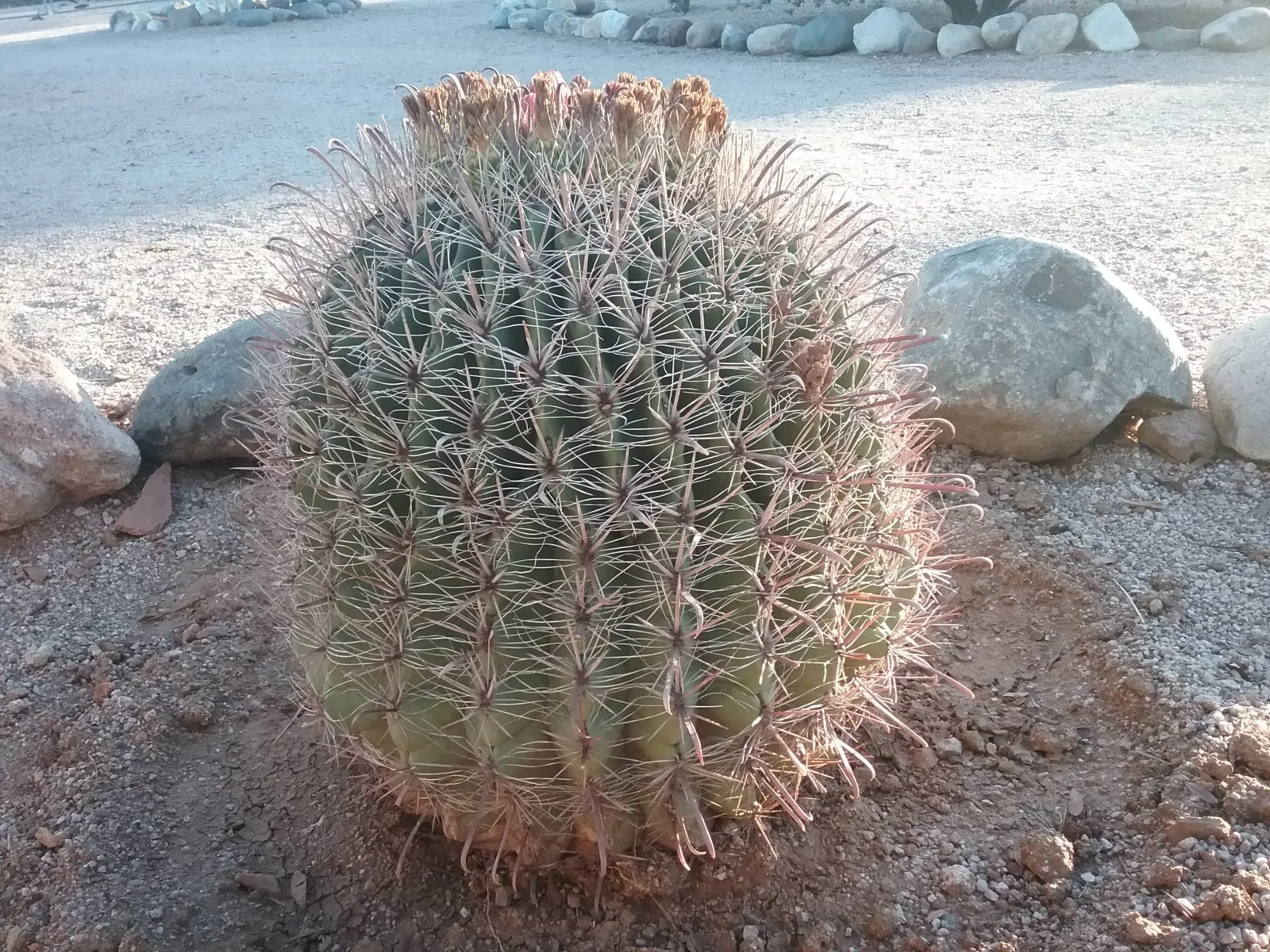 20180921_064923.webp
