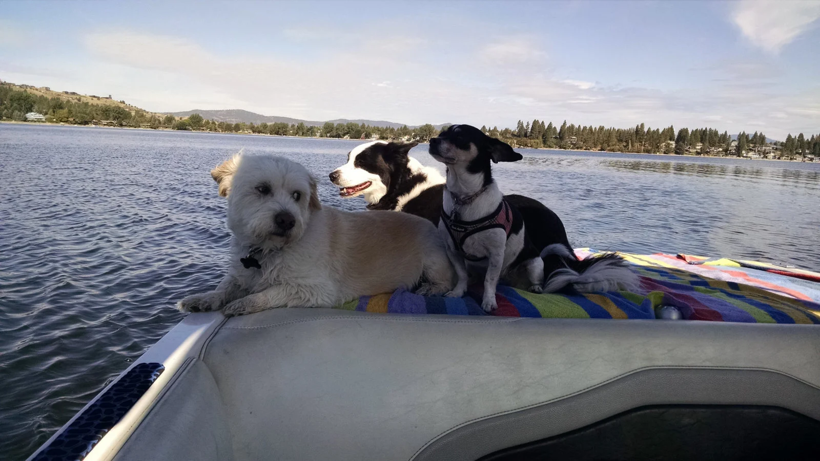 2019-02-06_10-01-23.webp