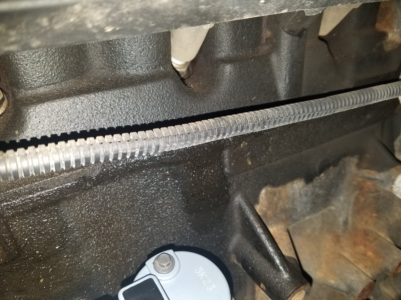 Is this a blown head gasket? | Jeep Wrangler TJ Forum